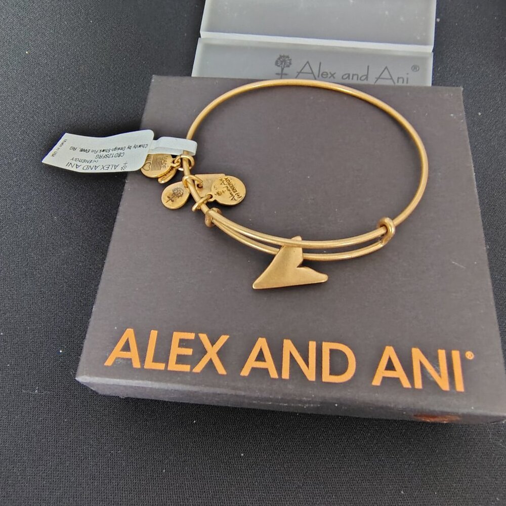 👀👀 Alex & Ani Gold Shark Fin Charm Bangle   819